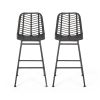 Sawtelle Outdoor Wicker Barstools (Set of 2)